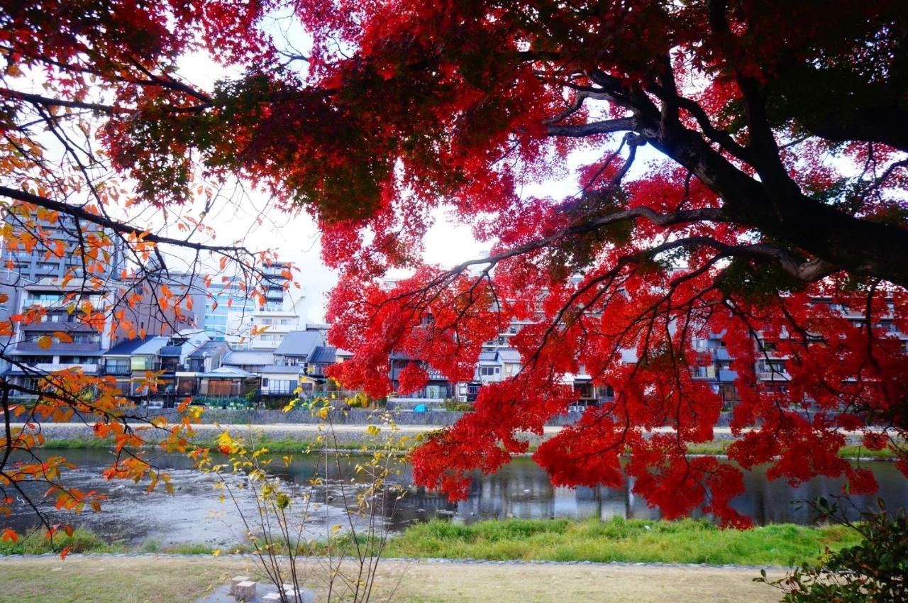 京都Kyomachiya House Izo别墅 外观 照片